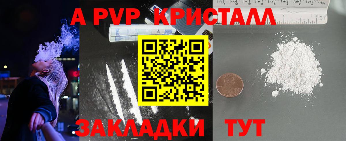 A PVP СК Сокол