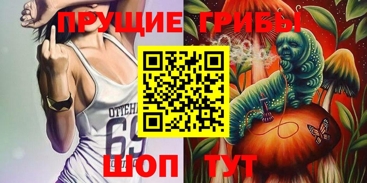 Сокол  Псилоцибиновые грибы MAGIC MUSHROOMS  Галлюциногенные грибы Magic Shrooms  Вход с VPN 
